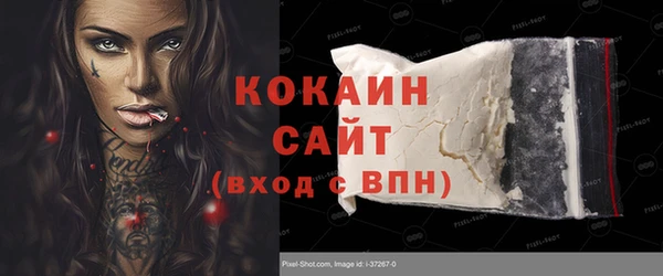 ECSTASY Алзамай