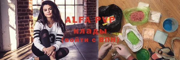 ECSTASY Алзамай