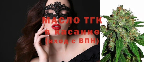 ECSTASY Алзамай